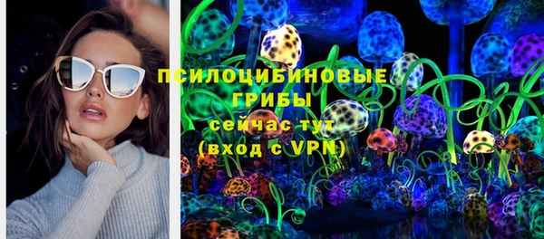 сатива Алзамай