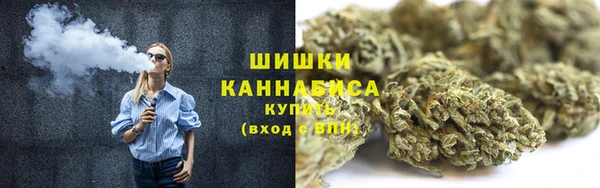 сатива Алзамай