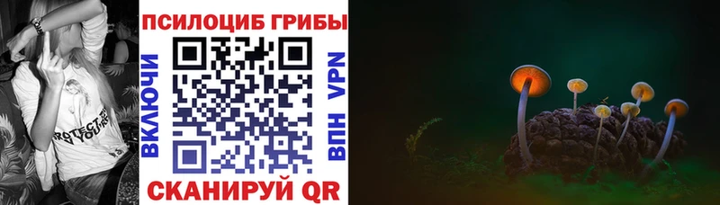 мориарти формула Сольвычегодск Псилоцибиновые грибы ЛСД